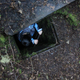 Illustration for article titled Finding Abandoned WWII Bunkers On Washingtons Olympic Peninsula
